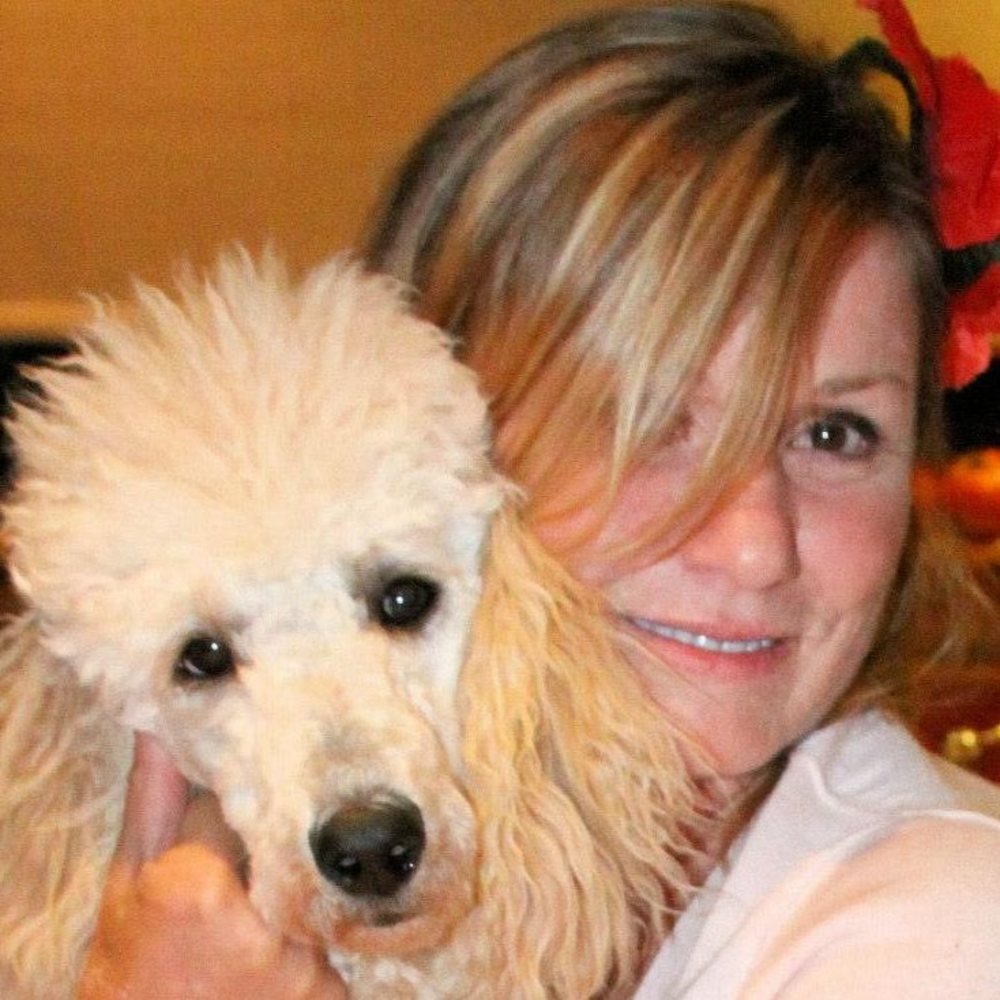 Meet your Posher, Sherry